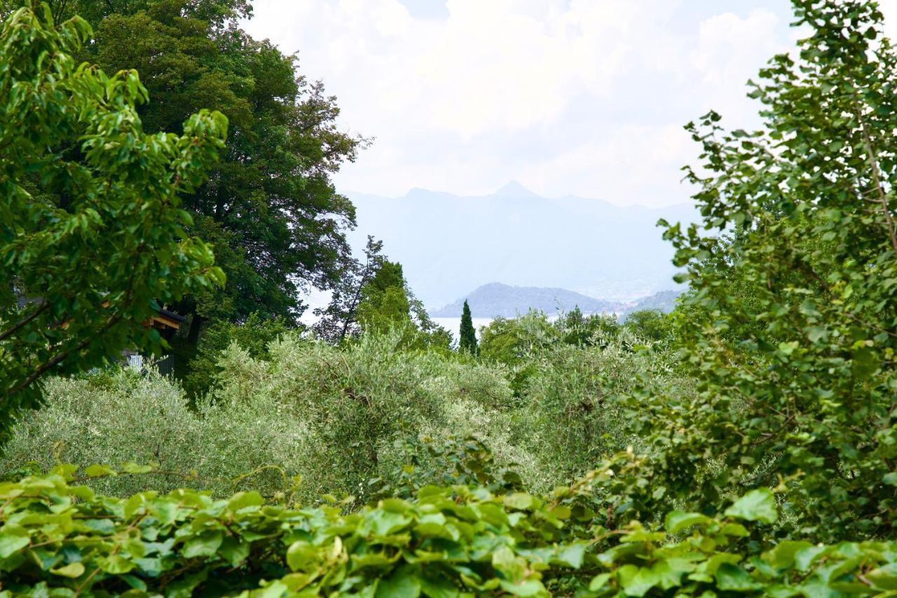 Hotel Diffuso Il Portichetto Vezio Perledo Buitenkant foto